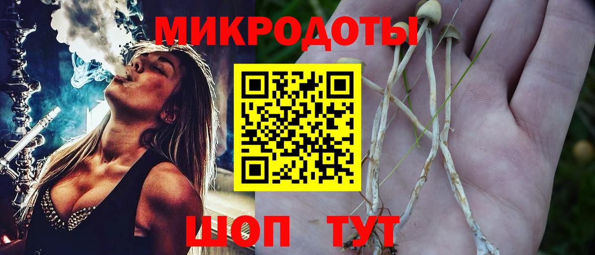 Рузаевка  Псилоцибиновые грибы Cubensis  Галлюциногенные грибы Cubensis  Вход с VPN 