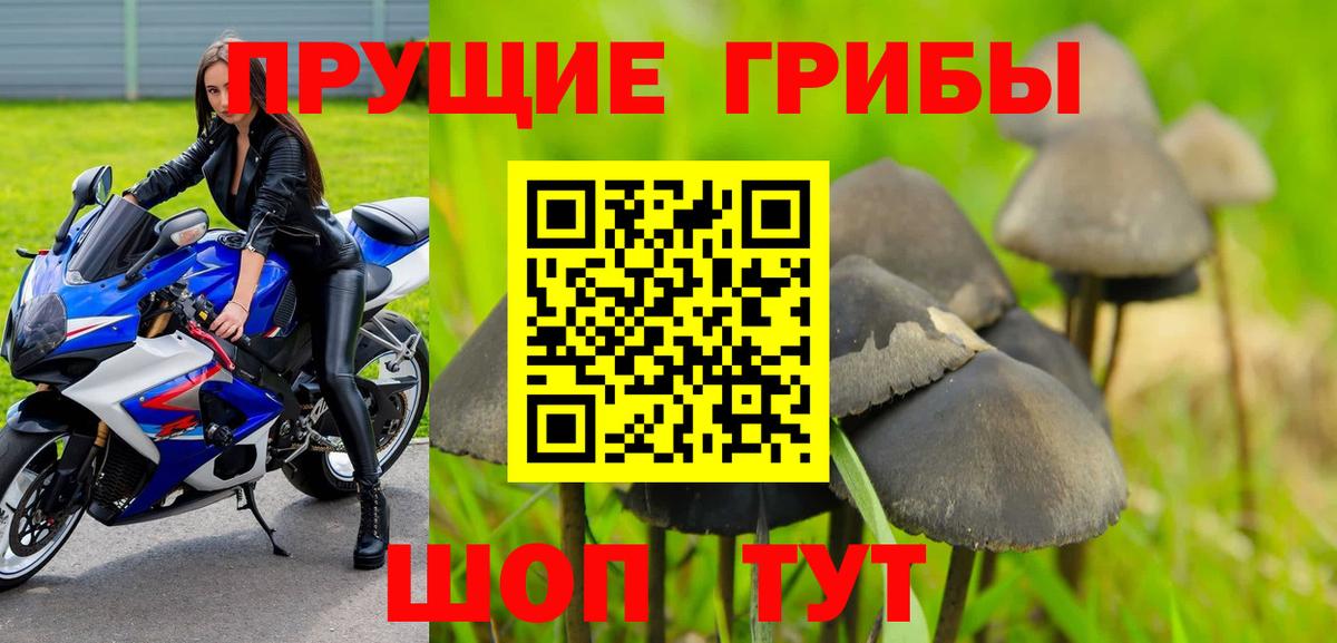 Галлюциногенные грибы Magic Shrooms Рузаевка